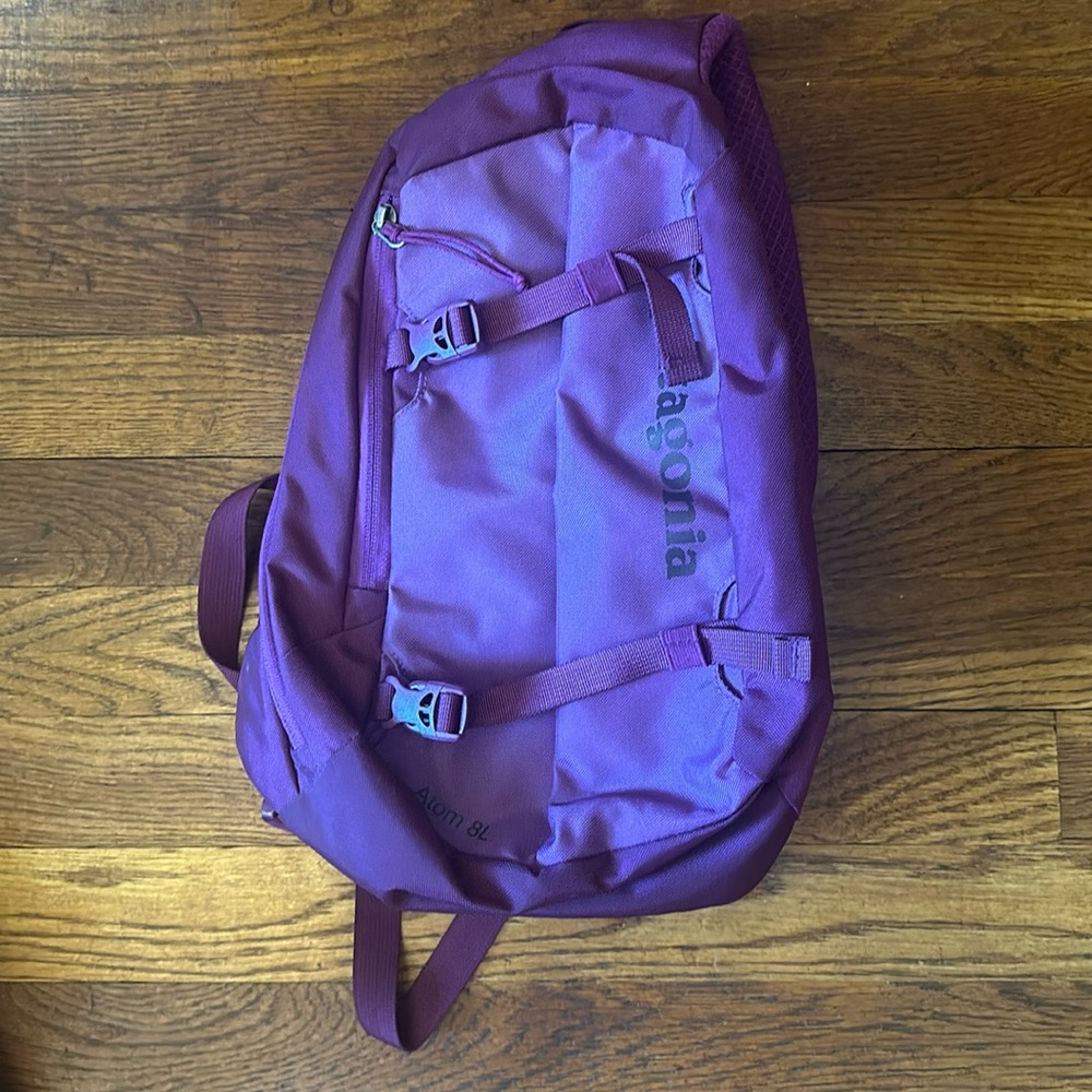 Patagonia Atom Sling 8L